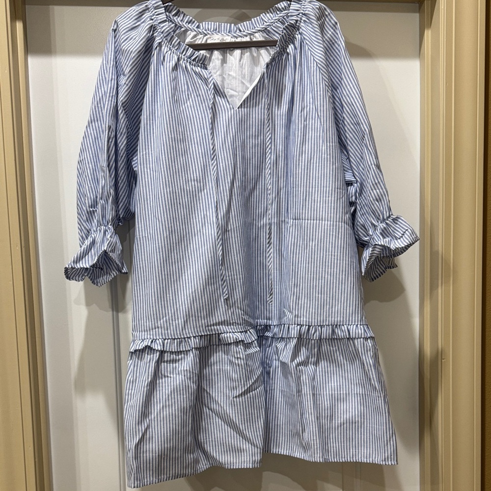 NWOT Blue & White Pinstripe Shift Dress